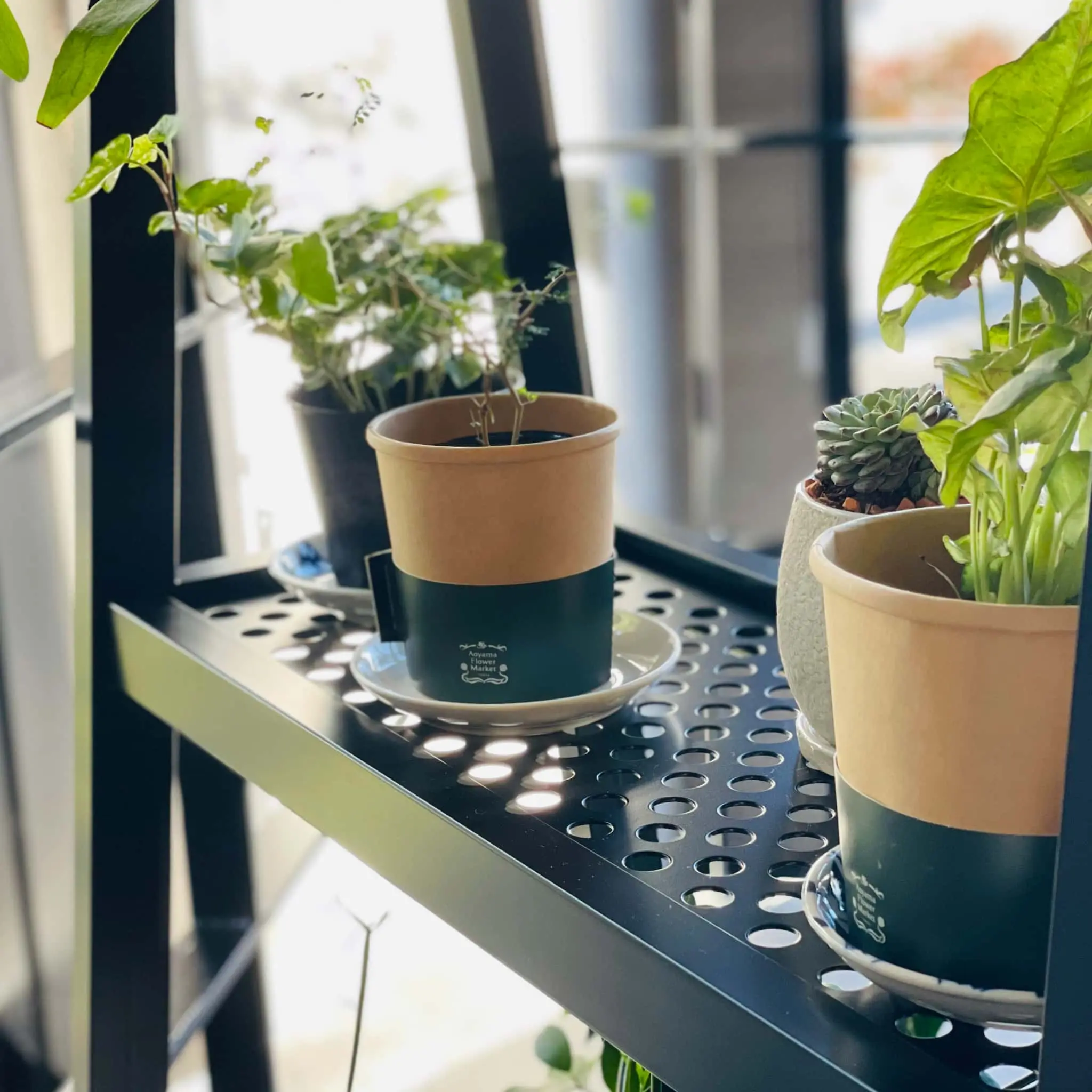 可動式プランターラック | フルオーダー事例｜お客様のアイデア