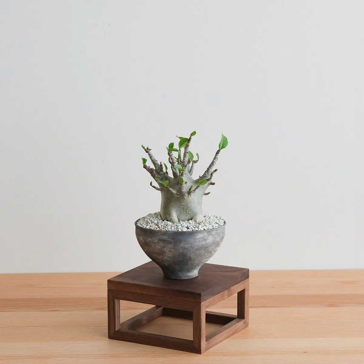 三角留プランタースタンド - Kanaete(カナエテ) - アイデアをカタチに