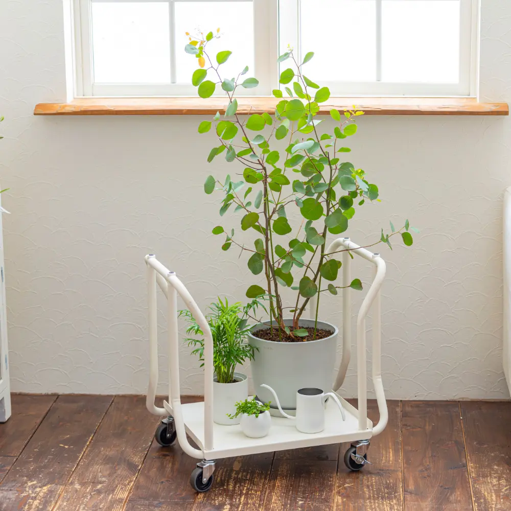 プランターワゴン GREEN WAGON - Kanaete(カナエテ) - アイデアをカタチにする