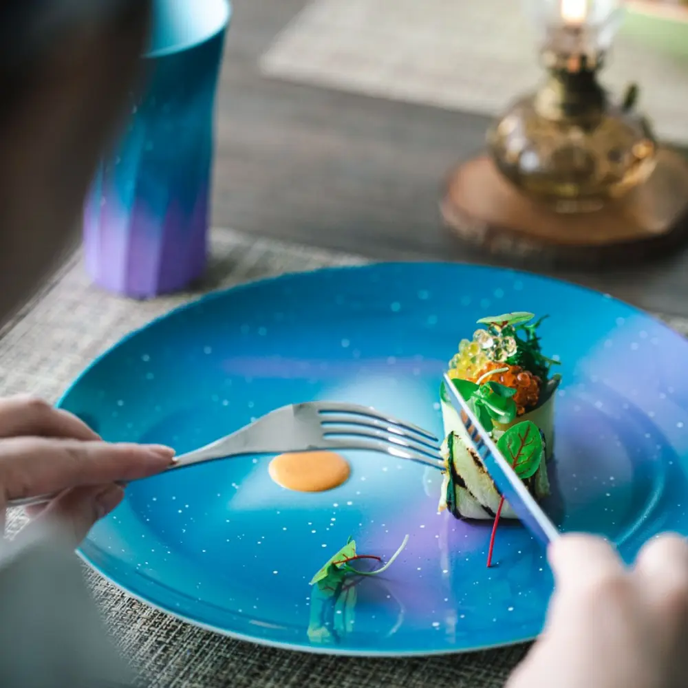 iroikoi 9．0和洋盛皿 - Kanaete(カナエテ) - アイデアをカタチに