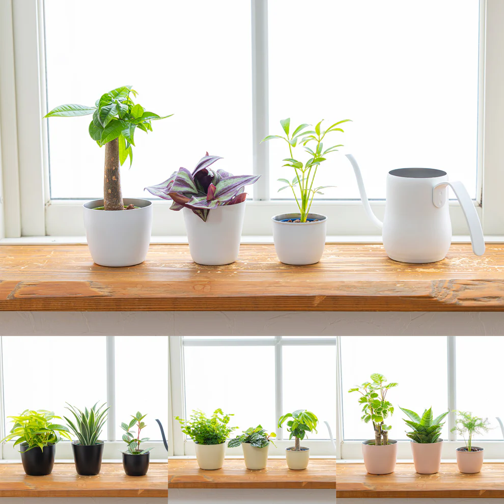 Planter cover - Kanaete(カナエテ) - アイデアをカタチにする