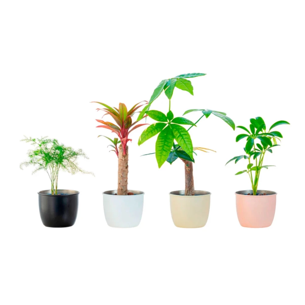 Planter cover - Kanaete(カナエテ) - アイデアをカタチにする