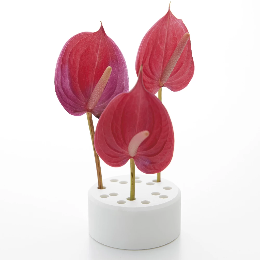 セラミックフラワーホルダー - Kanaete(カナエテ) - アイデアをカタチ