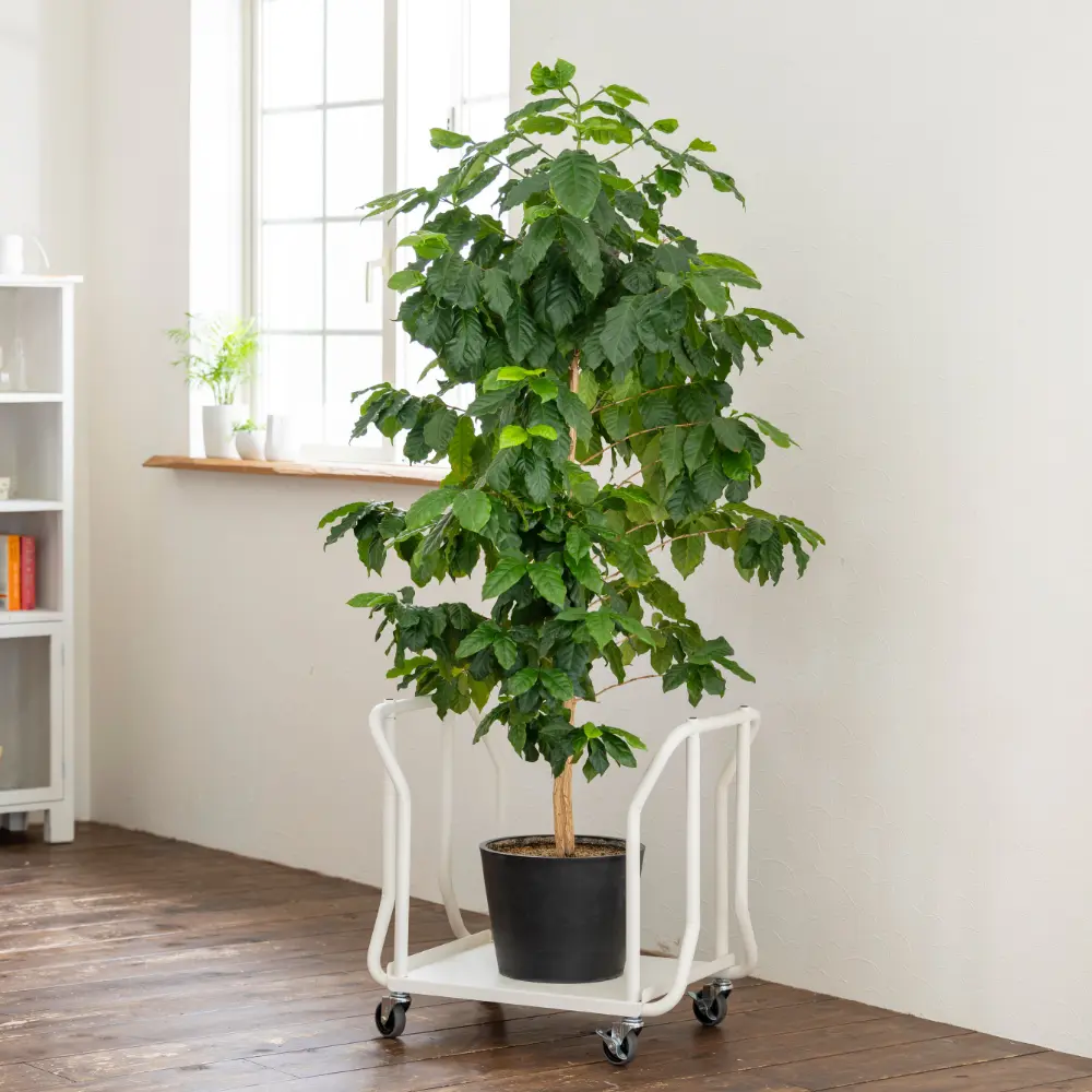 GREEN WAGON - Kanaete(カナエテ) - アイデアをカタチにする