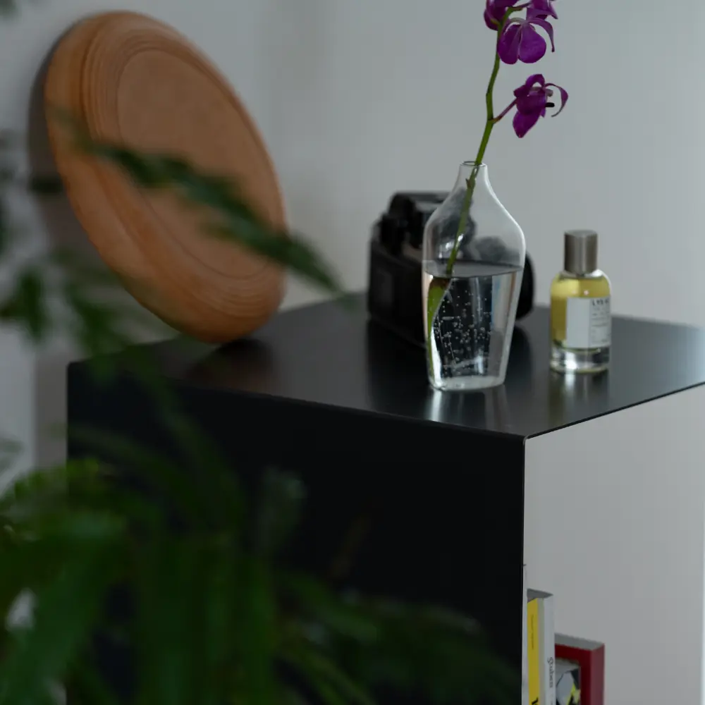 IRON SHELF＜鉄の棚＞黒皮鉄 - Kanaete(カナエテ) - アイデアをカタチ